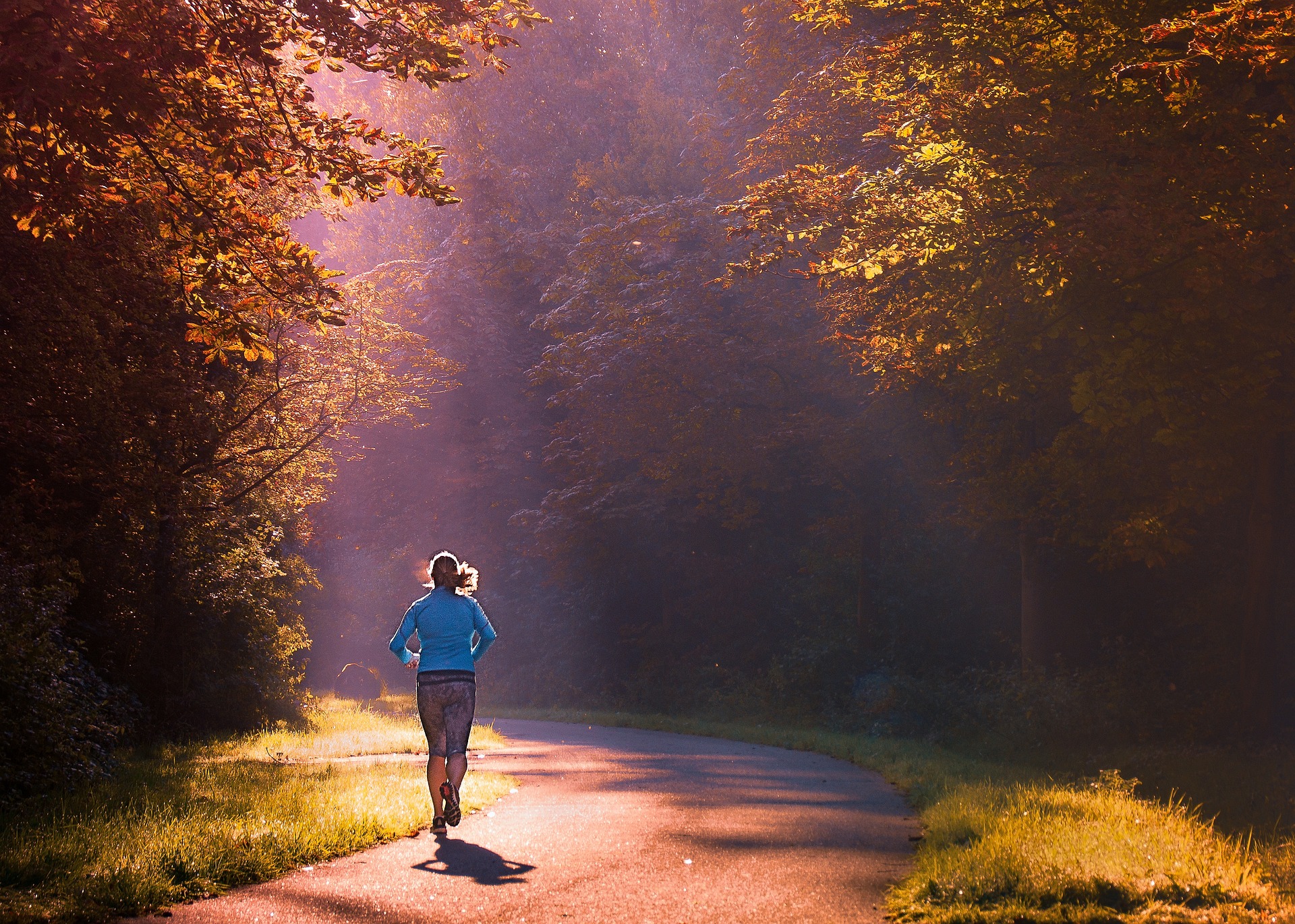 footing le matin en fo^ret